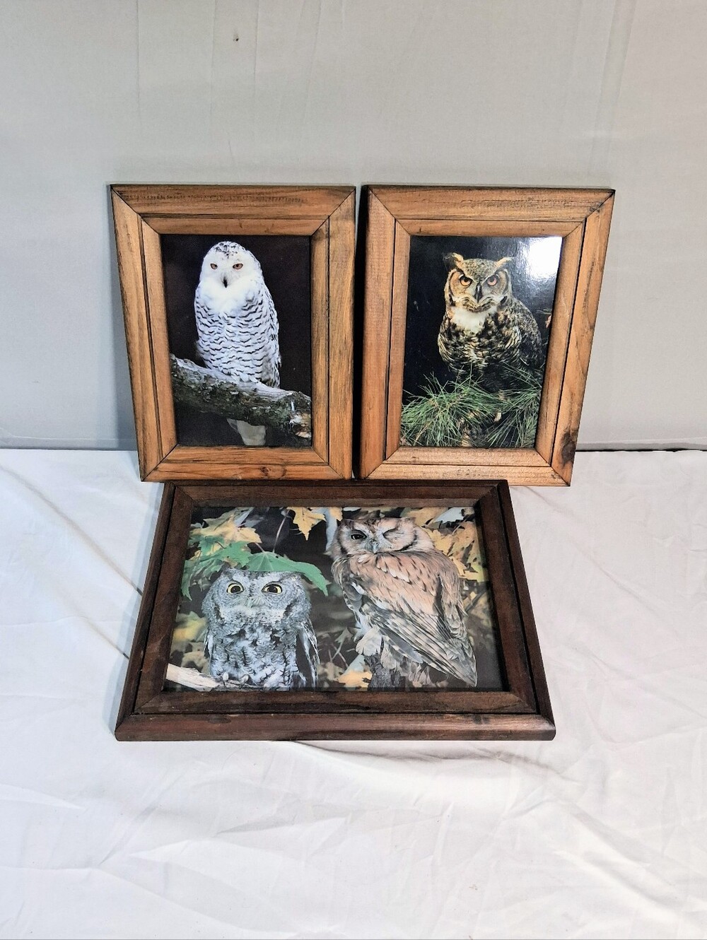 Set Of 3 Owl Lithograph Print Framed Pictures